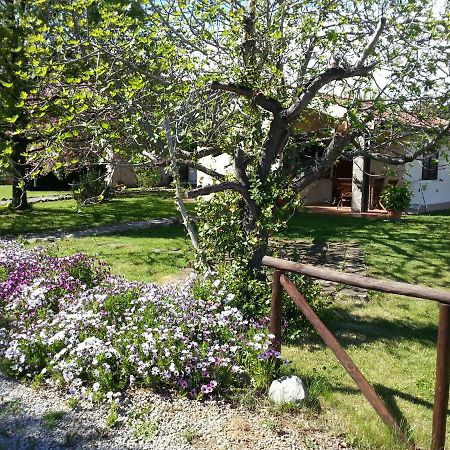הוילה קפאלביו Agriturismo Sicomoro מראה חיצוני תמונה