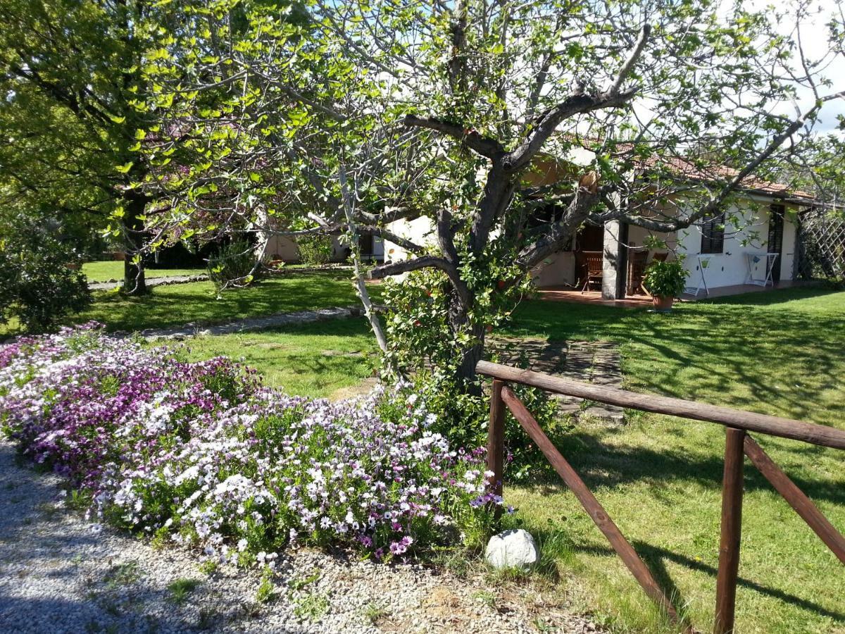 הוילה קפאלביו Agriturismo Sicomoro מראה חיצוני תמונה