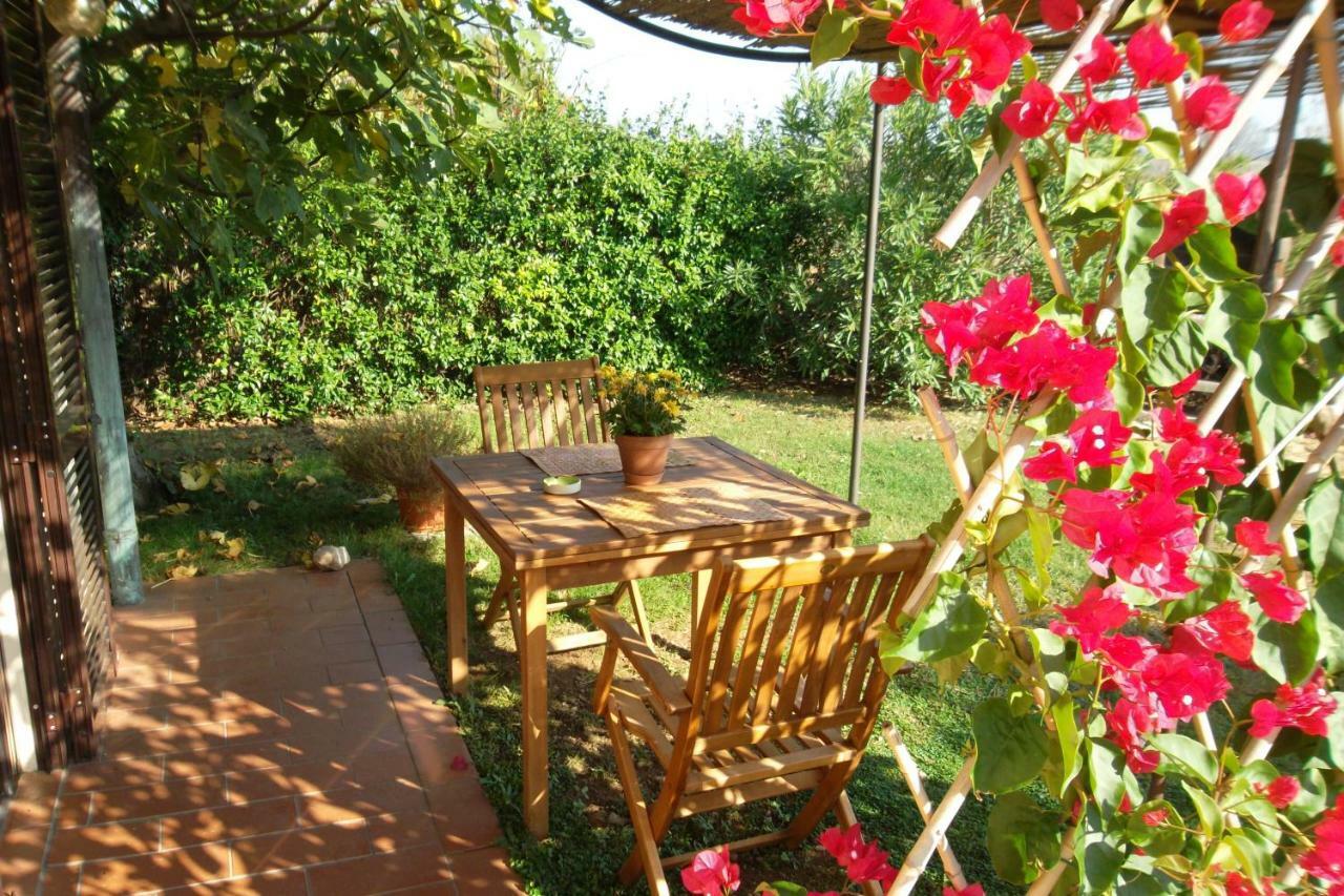 הוילה קפאלביו Agriturismo Sicomoro מראה חיצוני תמונה